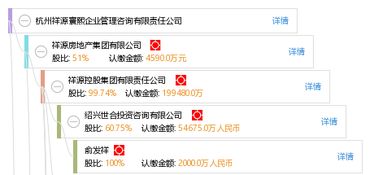 杭州祥源寰熙企业管理咨询有限责任公司 信息技术咨询服务的专业支持